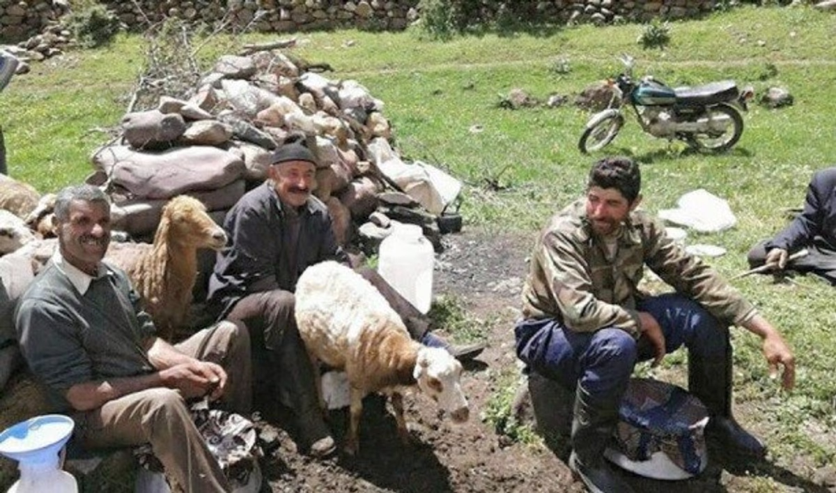روستای شیخ موسی