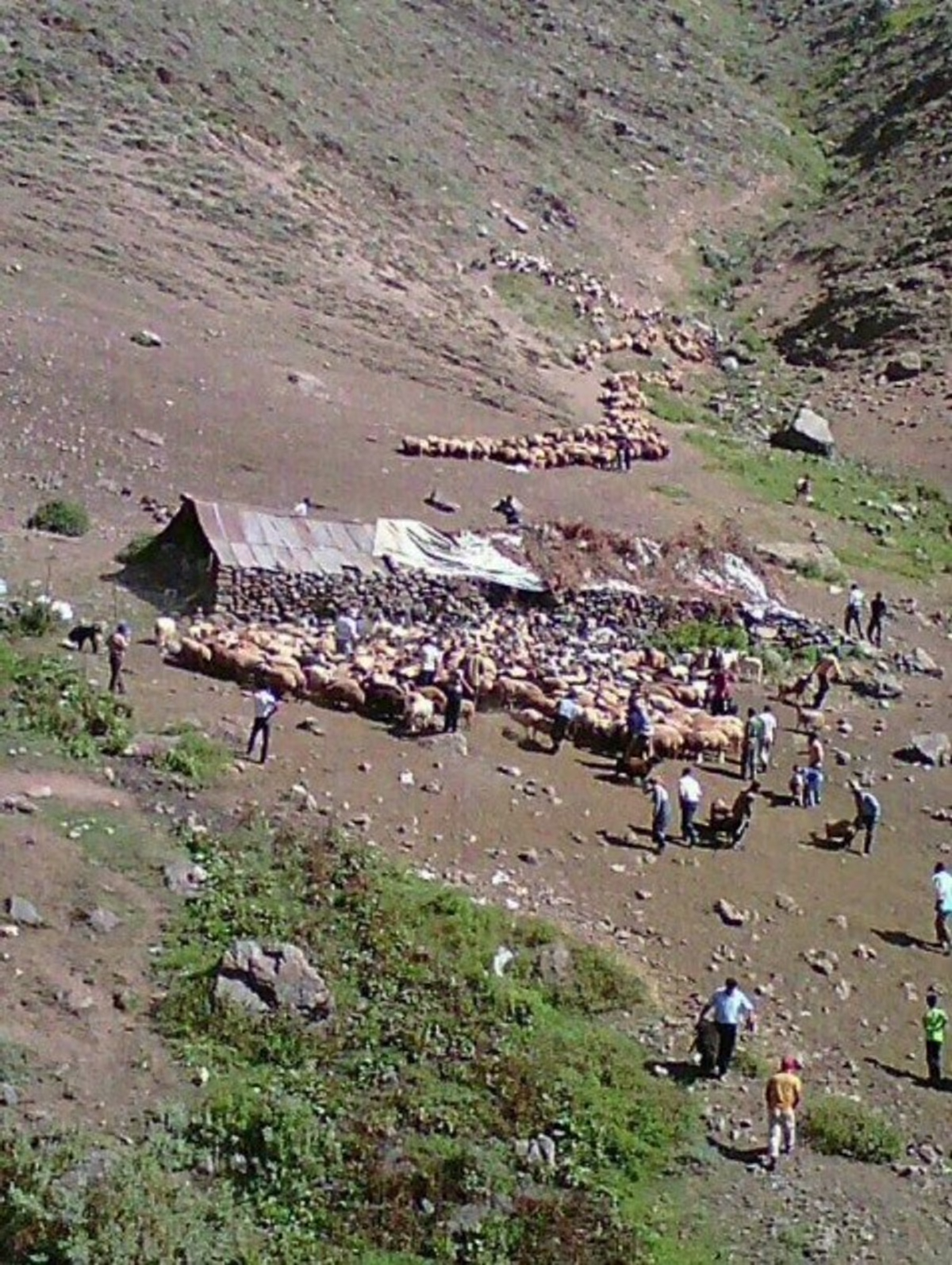 روستای شیخ موسی