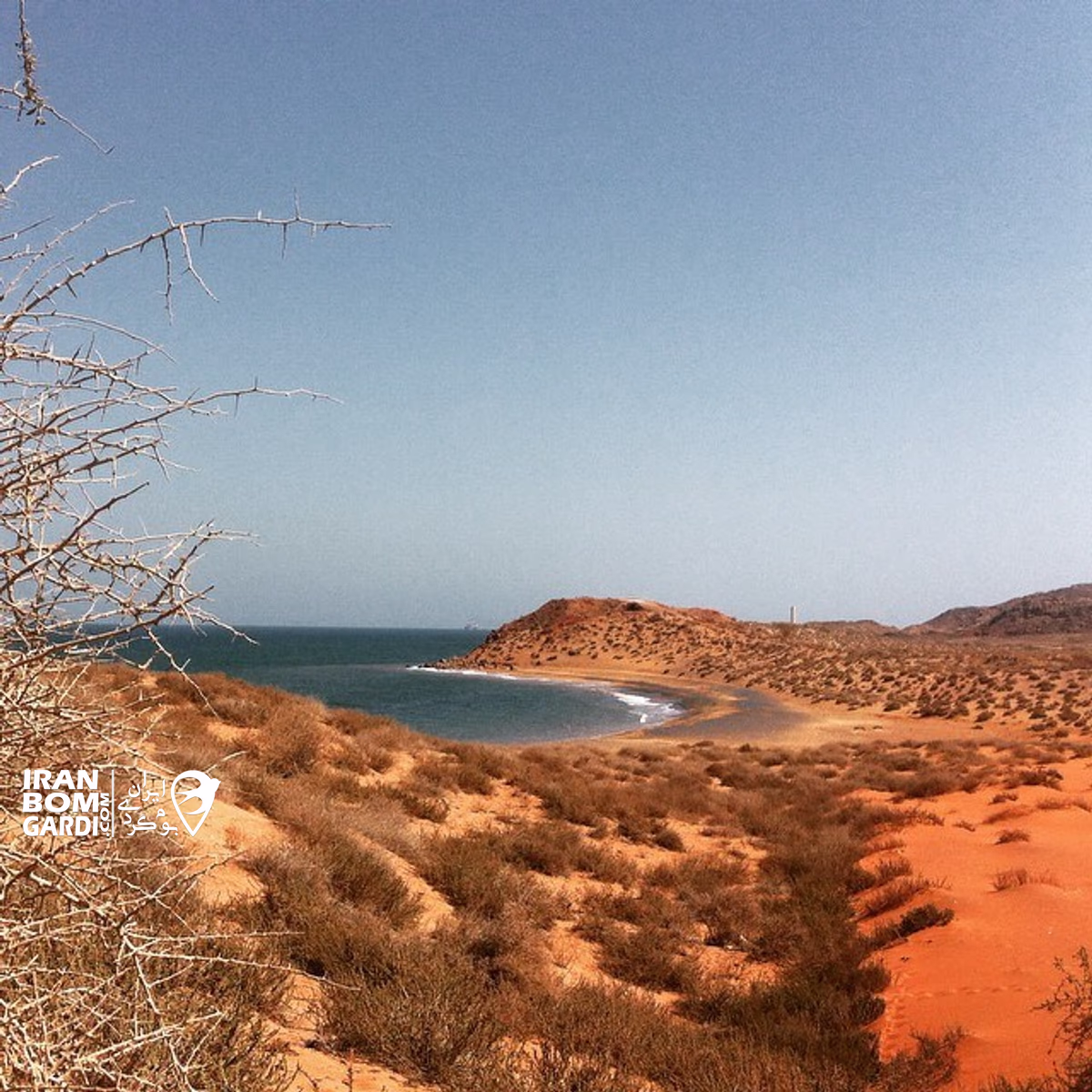 جزیره لارک