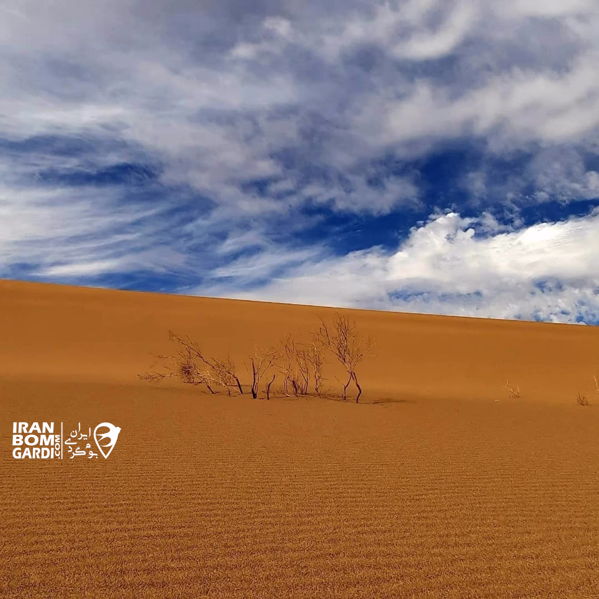 کویر ریگ زرین