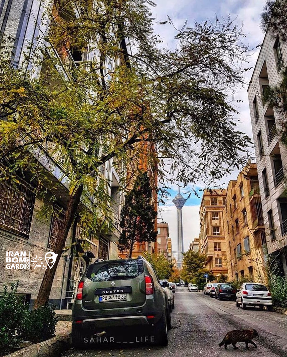 تهران 