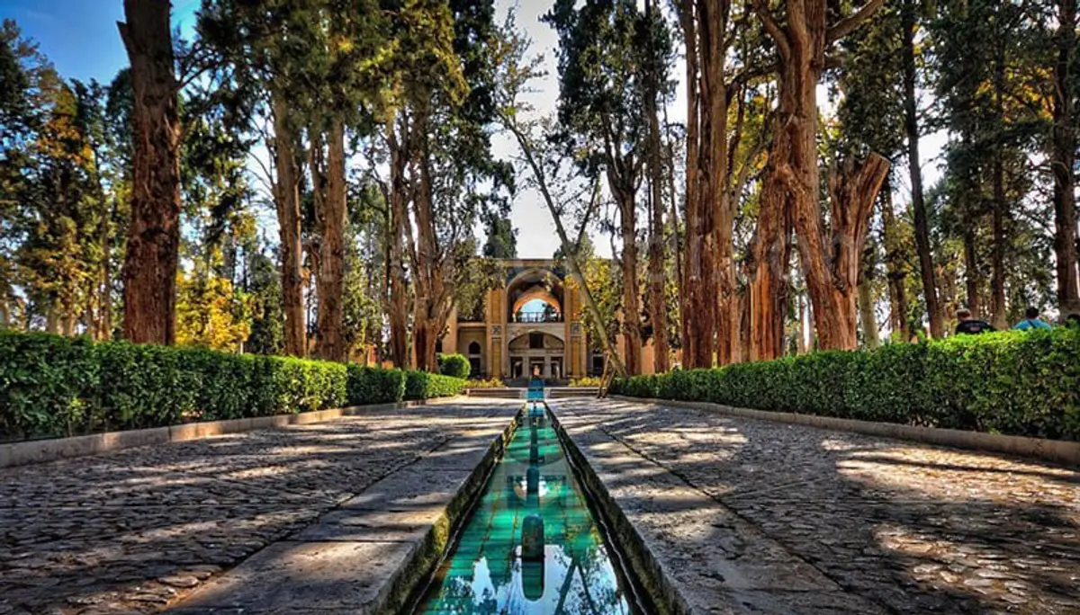 درختان کهن در باغ فین کاشان