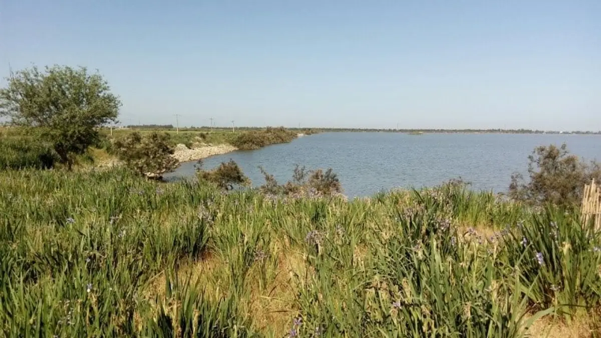 روستای کرد کلا و گل محله