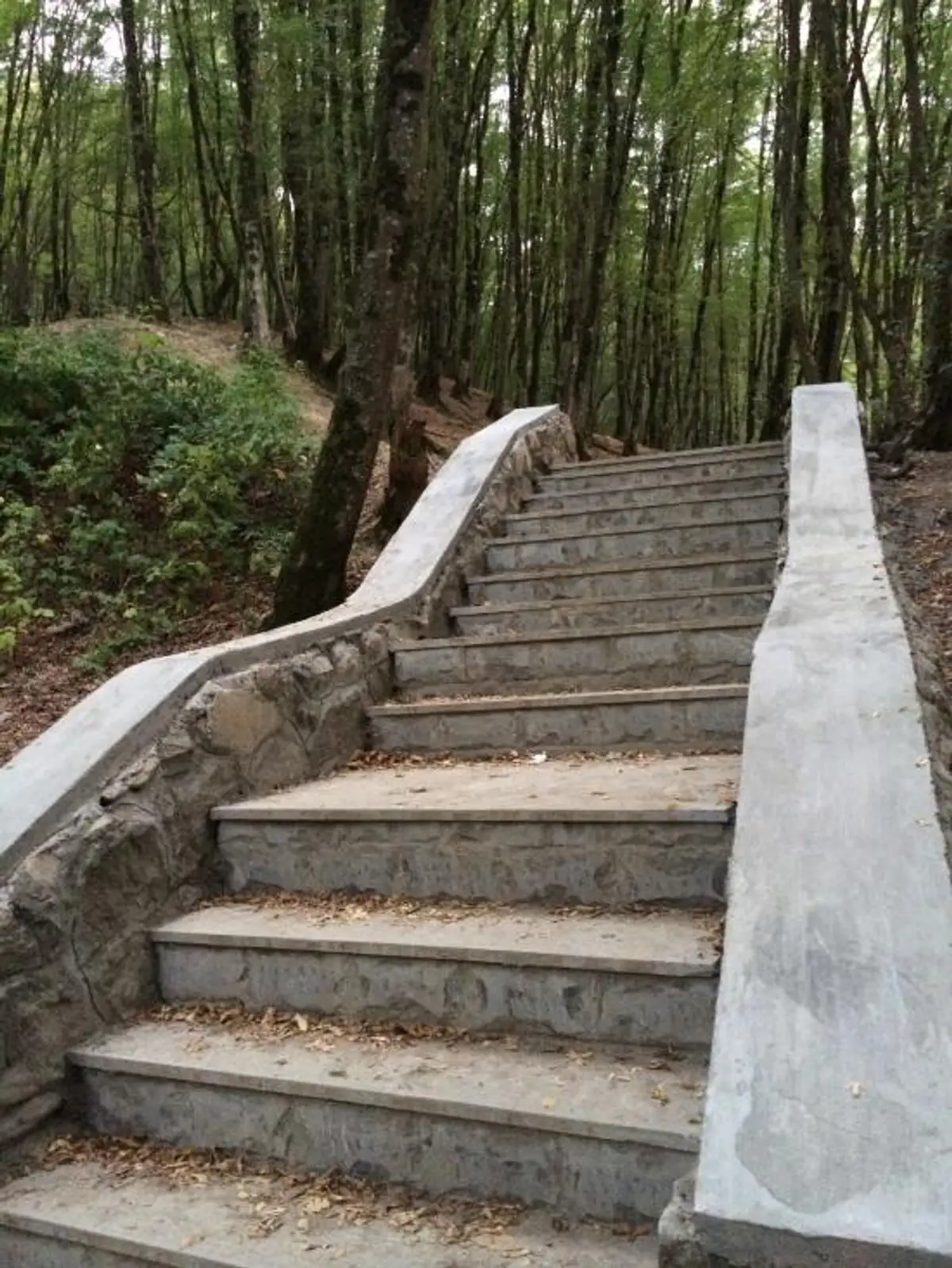 ناهارخوران گرگان