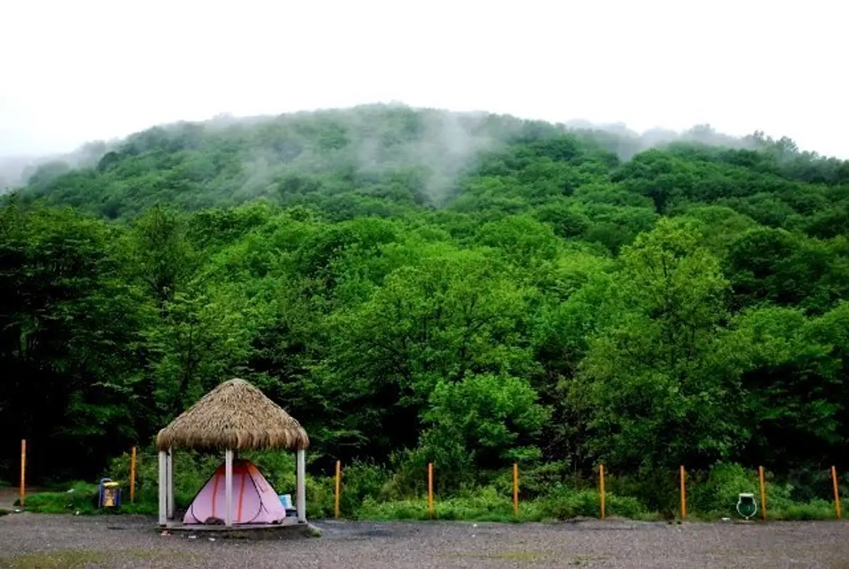 ناهارخوران گرگان
