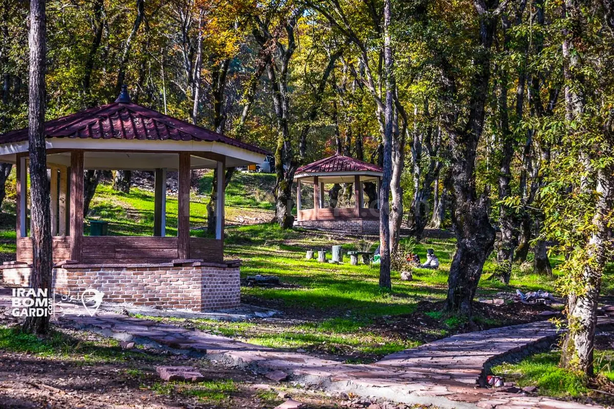 پارک جنگلی سیسنگان