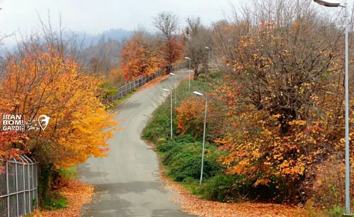 پارک چنگلی سیاه داران