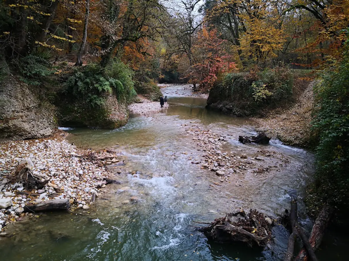 پلنگ دره