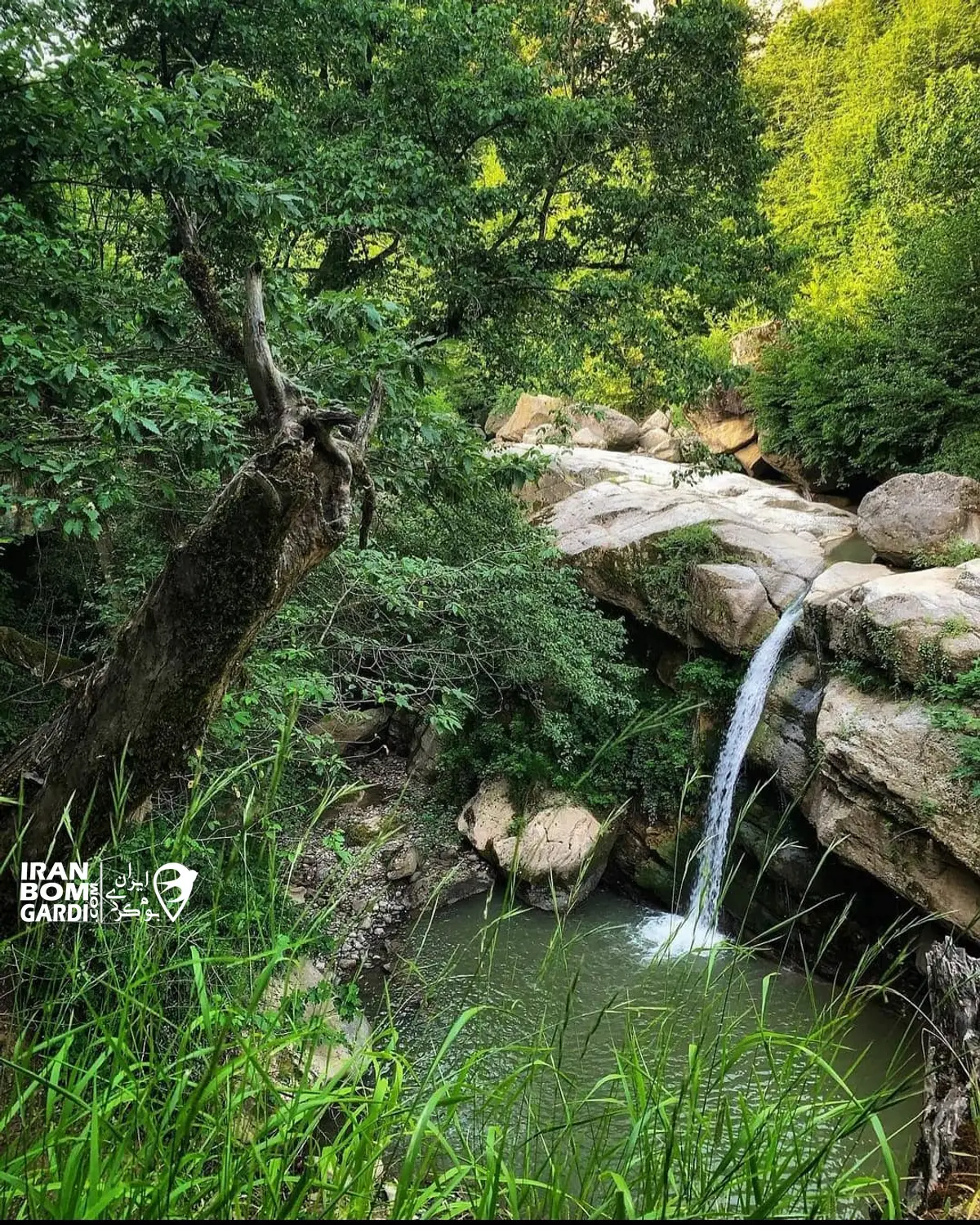 آبشار در روستای ساسنگ