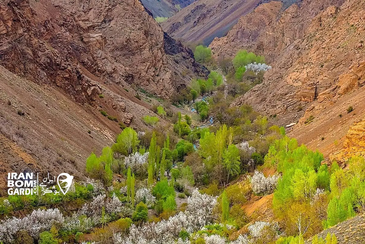 روستای بوژان