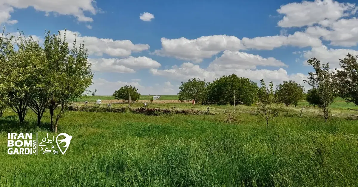 روستای شیخ موسی