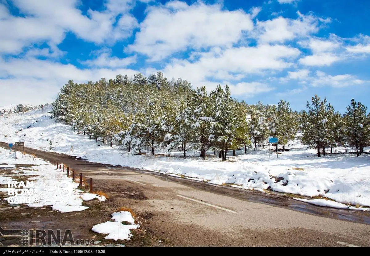 زمستان بوژان