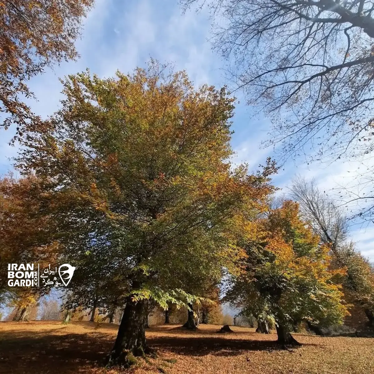 طبیعت پاییزی شیخ موسی