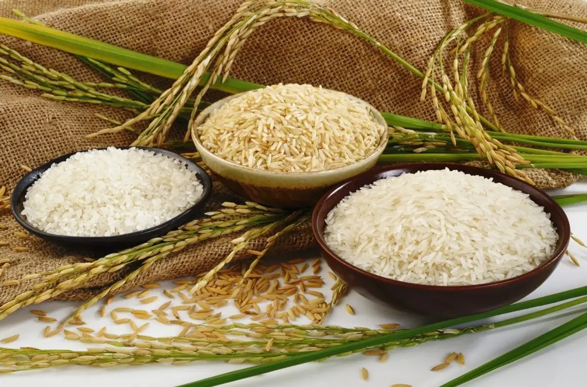 برنج ایرانی 01