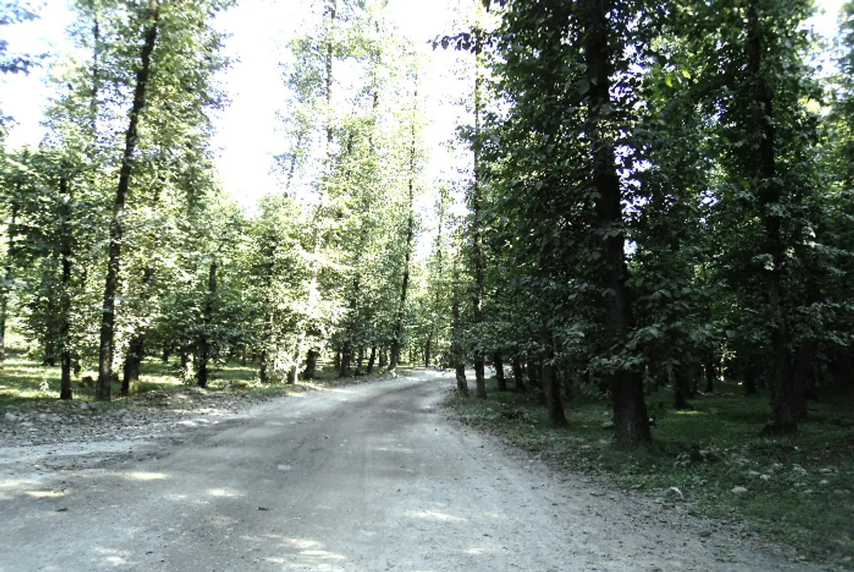 روستای جوربند